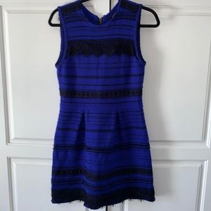 Nanette Lenore knit body con dress lace